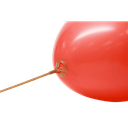 Stick&Cup photo.webp