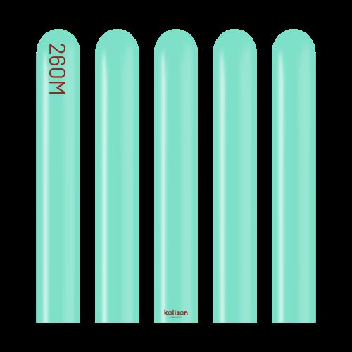 260 Modelling Standard Sea Green 100ct - Kalisan