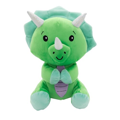  Poids Peluche Dinosaure 21cm - 170g 