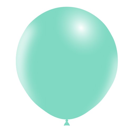 25 Ballons 18" Standard Menthe - Balloonia 