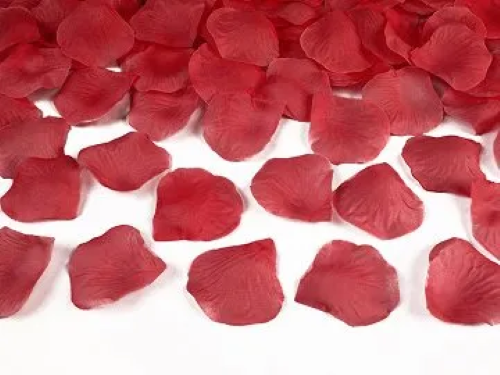 Lot de 100 pétale de rose rouge