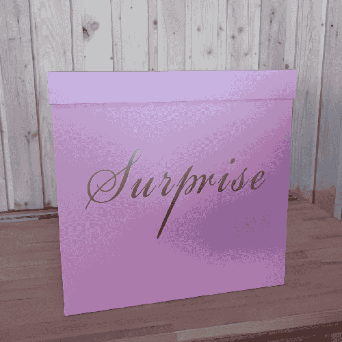 [B510P] Surprise Box 50X50 Pink- Borosino