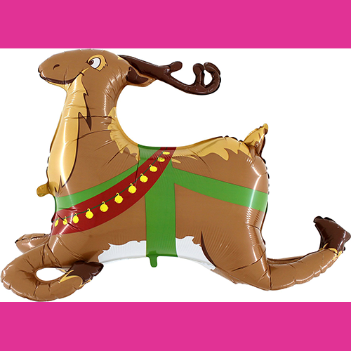 [G73031-P] Rennes Linky 43" - Grabo